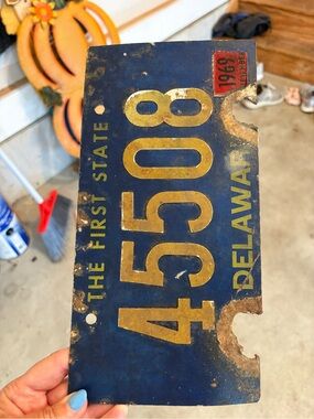 Vintage-Style Delaware Blue License Plate Wall Accent